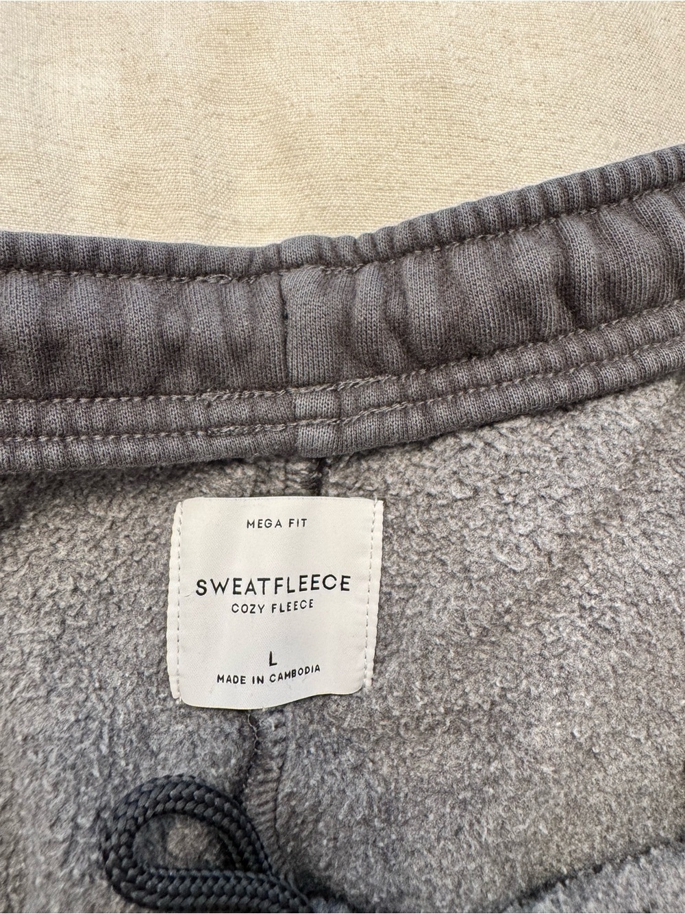 Aritzia Sweatfleece Joggers - Grey